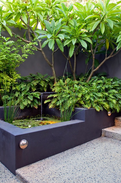 Tropical Landscape by Cultivart Landscape Design