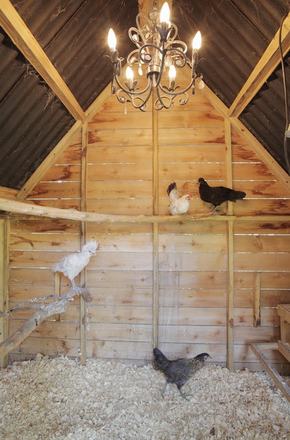 Farmhouse Garage And Shed by Lindsay von Hagel