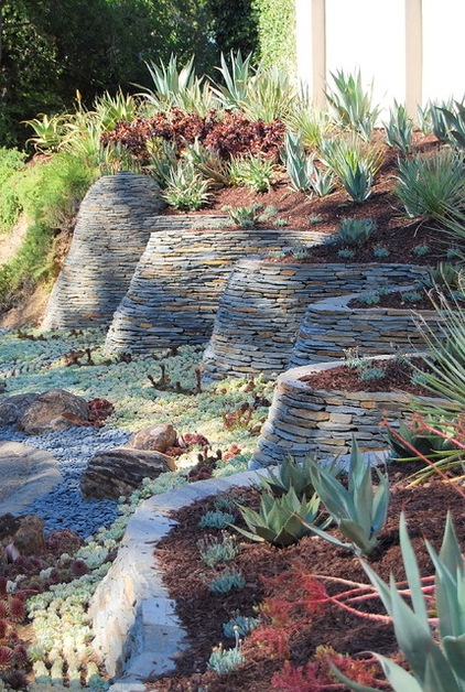 Contemporary Landscape by Zeterre Landscape Architecture