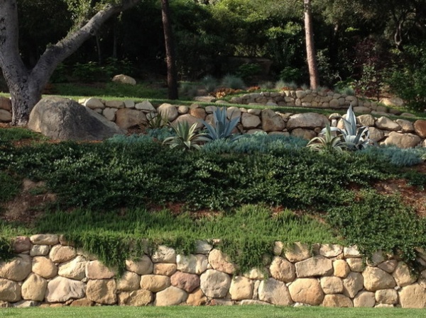 Mediterranean Landscape by Pat Brodie Landscape Design