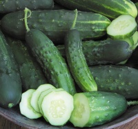 Summer Crops: How to Grow Cucumbers