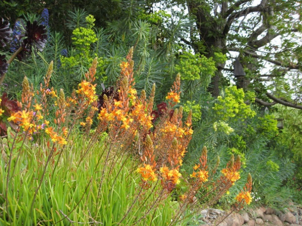 Warm Up Your Garden With Orange Flowers