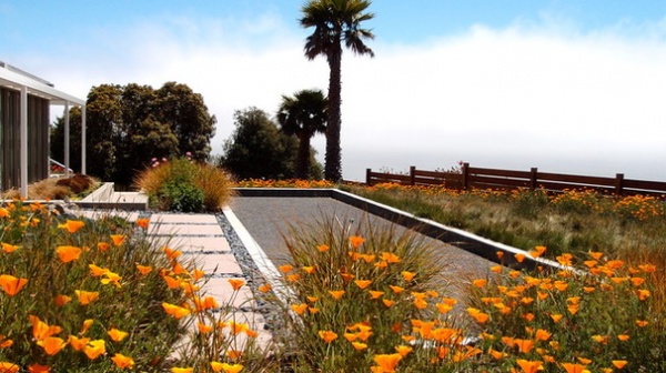 Warm Up Your Garden With Orange Flowers