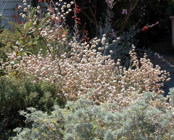 Landscape by Pete Veilleux, East Bay Wilds