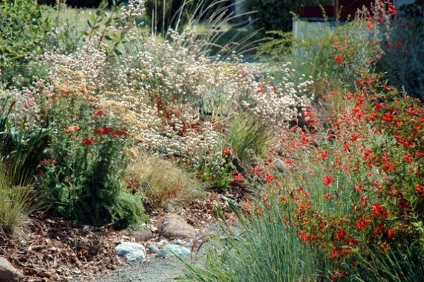 Landscape by Pete Veilleux, East Bay Wilds