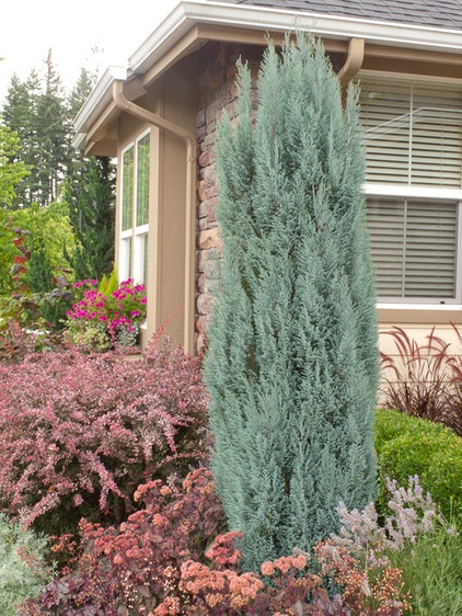 Traditional Landscape by Le jardinet