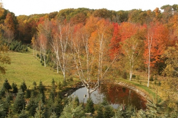 Farmhouse by Ellen Sousa/Turkey Hill Brook Farm