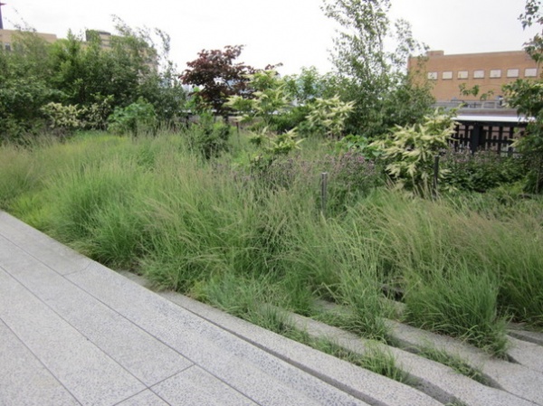 Landscape High Line