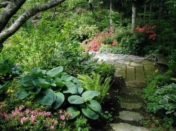 Learn Your Garden’s Microclimates for a Resilient Landscape