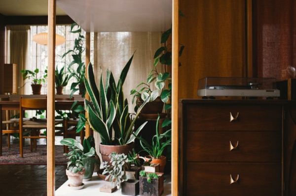 Midcentury Living Room by A Darling Felicity Photography