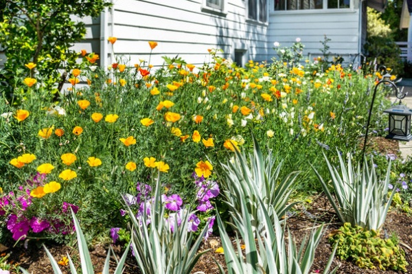 10 Ideas for a Creative, Water-Conscious Yard