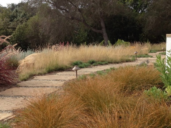 Mediterranean Landscape by Pat Brodie Landscape Design