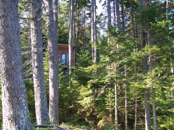 A Hideaway for All Ages Perched Among the Trees in Maine