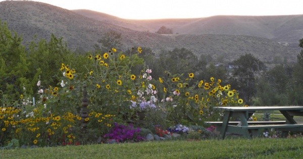 Farmhouse Landscape by Sarah Greenman