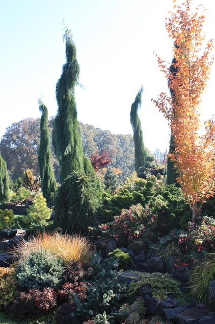 Eclectic Landscape by Fifth Season Landscape Design & Construction