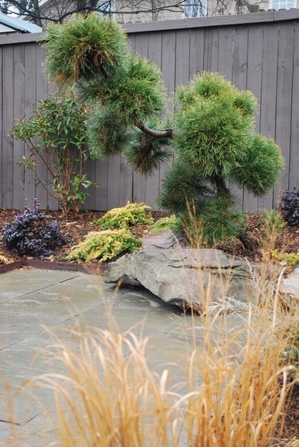 Contemporary Landscape by Jay Sifford Garden Design