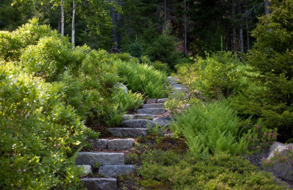 Great Design Plant: Grow Blueberries for Their Fruit and More