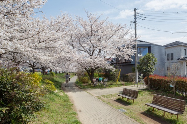 4 Japanese Homes Proudly Speak to Their Surroundings