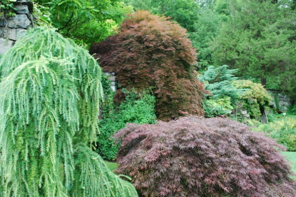 Eclectic Landscape by Jay Sifford Garden Design