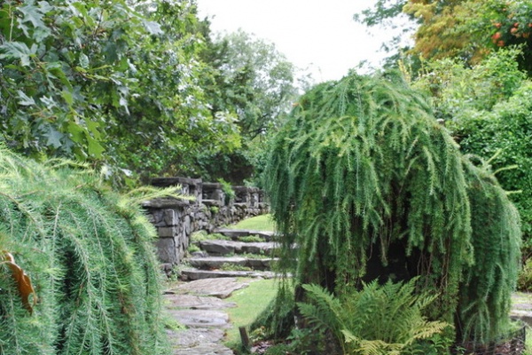 Eclectic Landscape by Jay Sifford Garden Design