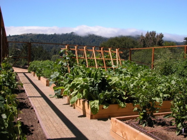 Enjoy the Peak of Spring Gardening — Here's What to Do in May