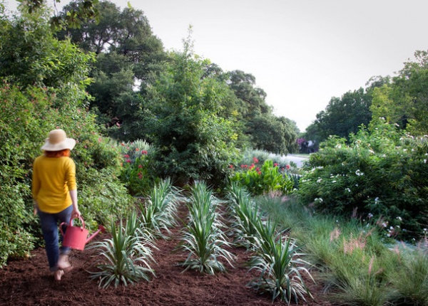 Edible Gardening Essentials: Watering Tips Worth Soaking Up