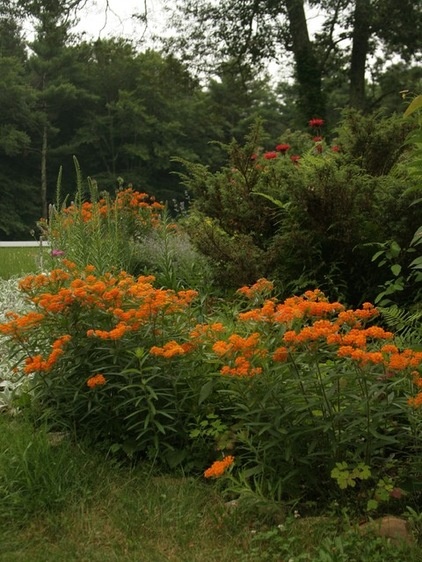 Landscape by Ellen Sousa/Turkey Hill Brook Farm