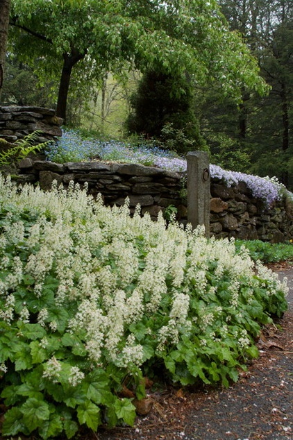 Landscape by Ellen Sousa/Turkey Hill Brook Farm