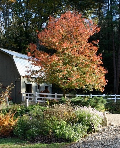 Landscape by Ellen Sousa/Turkey Hill Brook Farm