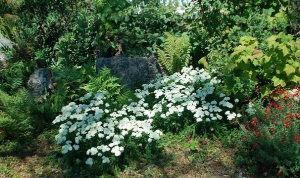 Landscape by Pete Veilleux, East Bay Wilds