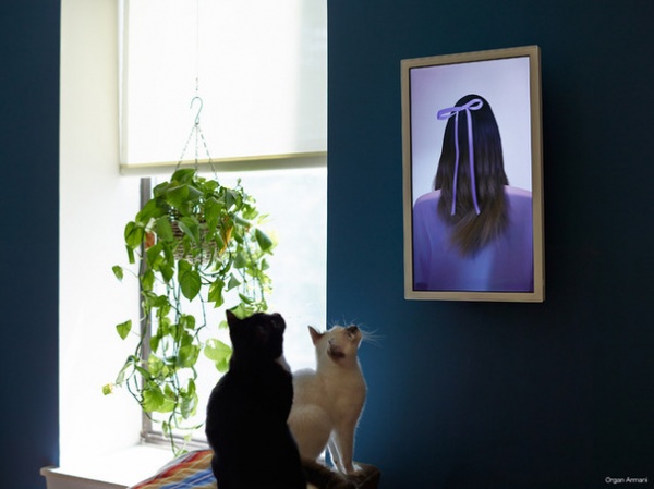 Is the Timing Finally Right for Framed Digital Art?