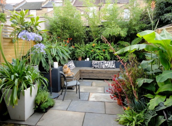 3 Steps to Choosing the Right Plants for Your Patio