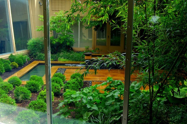 3 Steps to Choosing the Right Plants for Your Patio