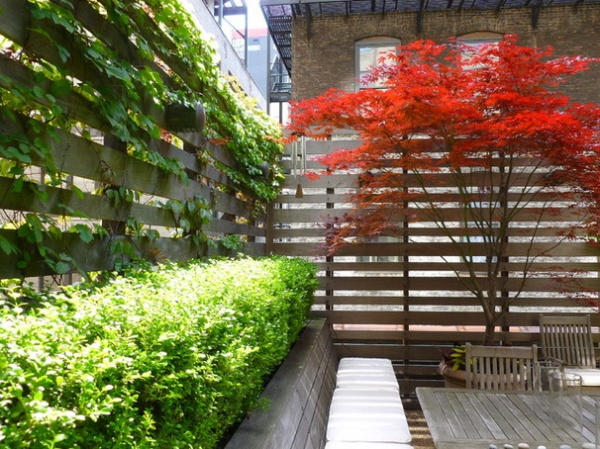 Modern Patio by Lynn Gaffney Architect, PLLC