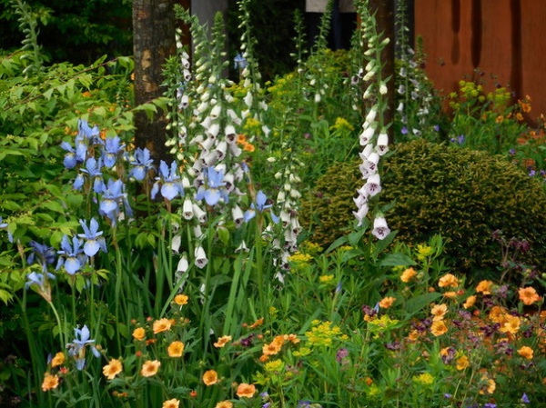 At the Chelsea Flower Show, a Jewel-Colored, Wildlife-Friendly Garden