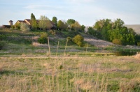 My Houzz: Oregon Landscape Inspires a Painter’s Dream Home and Studio