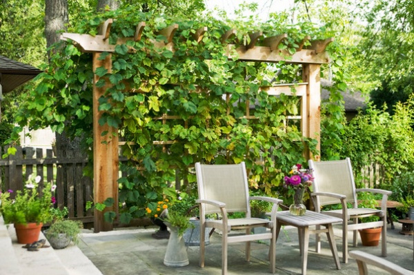 10 Creative Ways to Bring Structure to Your Outdoor Room