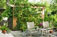 10 Creative Ways to Bring Structure to Your Outdoor Room