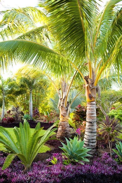 Tropical Landscape by Designscape Inc.