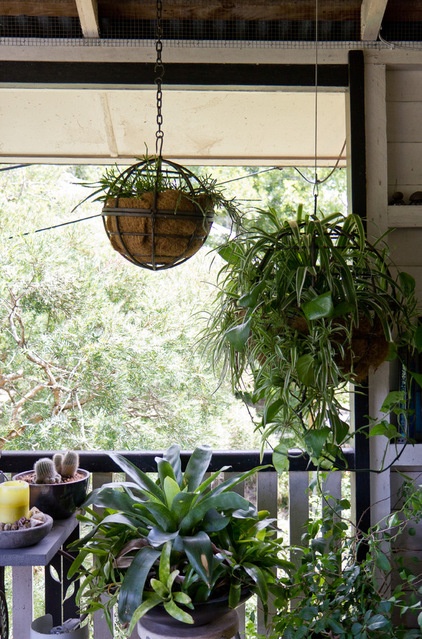 My Houzz: Veranda Life in a Classic Queenslander