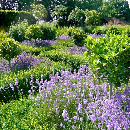 Farmhouse Landscape by Joanne Alderson Design