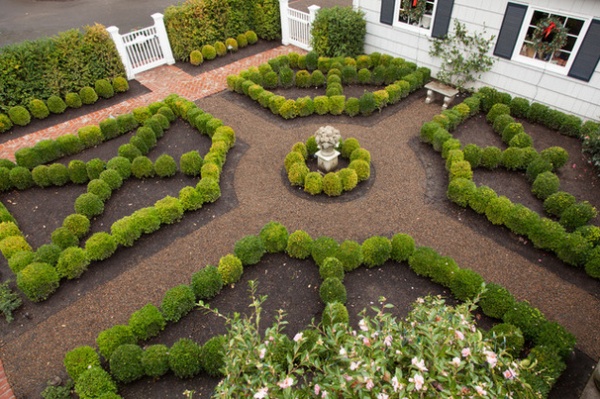 Boxwood: Still Shape-Shifting After 350 Years