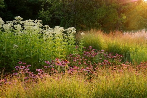 Contemporary Landscape by Adam Woodruff + Associates, Garden Artisans