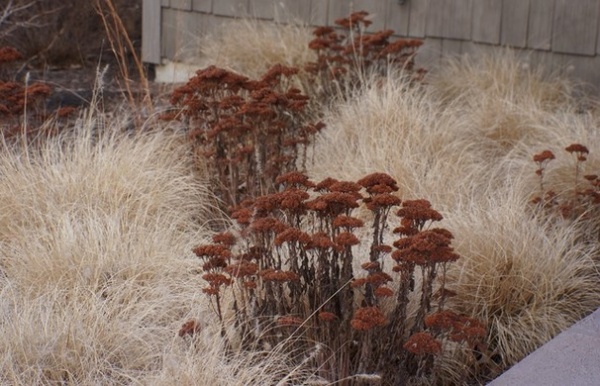 Contemporary Landscape by Adam Woodruff + Associates, Garden Artisans