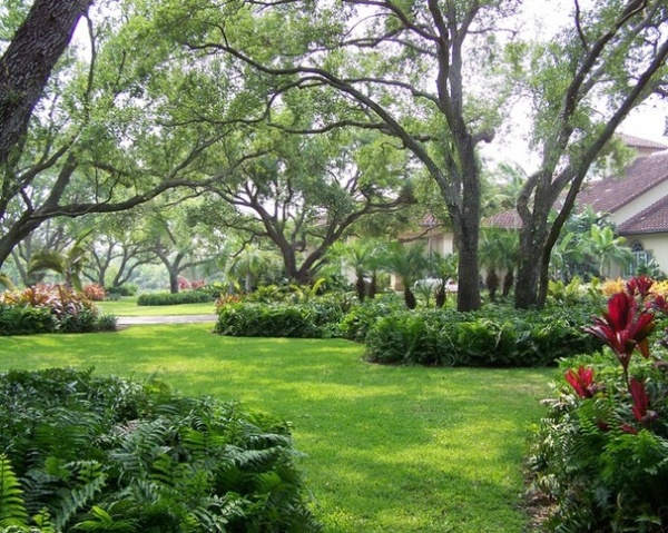 Mediterranean Landscape by orlando comas, landscape architect.