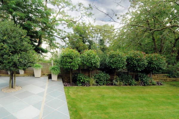 Contemporary Patio by Kate Eyre Garden Design