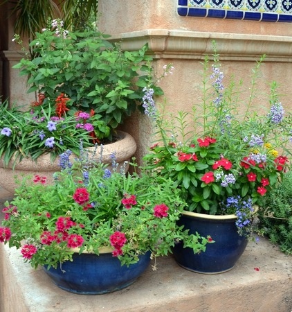 Create a Container Wildlife Habitat for Hummingbirds and Butterflies