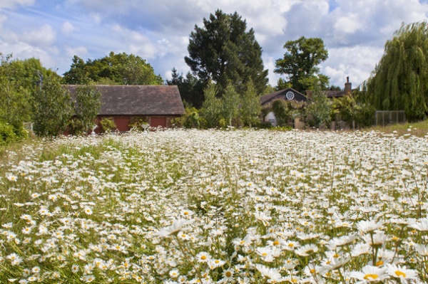 Houzz Call: What’s Your Favorite Backyard Beauty?