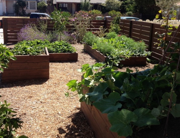 9 Ways to Be Water-Wise in the Edible Garden