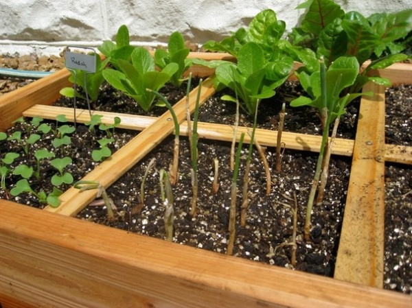 Square Foot Gardening